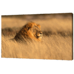 Misiny-Aslan Digital Baskı Kanvas Tablo 90 x 60 cm