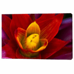 Misiny-Çiçek Digital Baskı Kanvas Tablo 002-60 x 40 cm