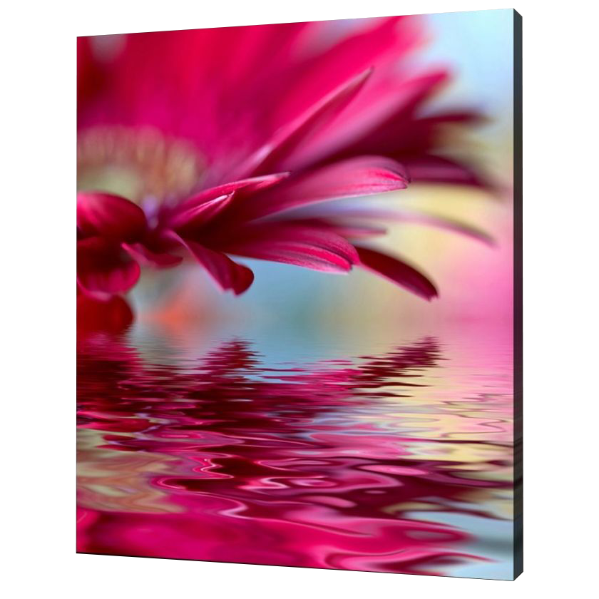 Misiny-Çiçek Digital Baskı Kanvas Tablo 004-50 x 60 cm Misiny-Çiçek Digital Baskı Kanvas Tablo 004-50 x 60 cm