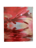 Misiny-Çiçek Digital Baskı Kanvas Tablo 004-50 x 60 cm - Görsel 4