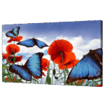 Misiny-Kelebek Digital Baskı Kanvas Tablo 60 x 90 cm