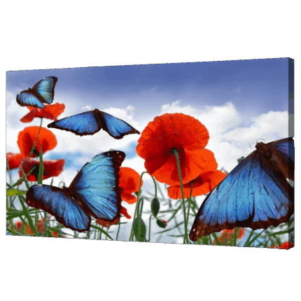 Misiny-Kelebek Digital Baskı Kanvas Tablo 60 x 90 cm