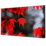 Misiny-Yaprak Digital Baskı Kanvas Tablo 001-60 x 40 cm