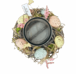 Misiny-Yumurta Mumluk - 004 - Görsel 4